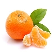 نارنگی جنوب یک کیلو